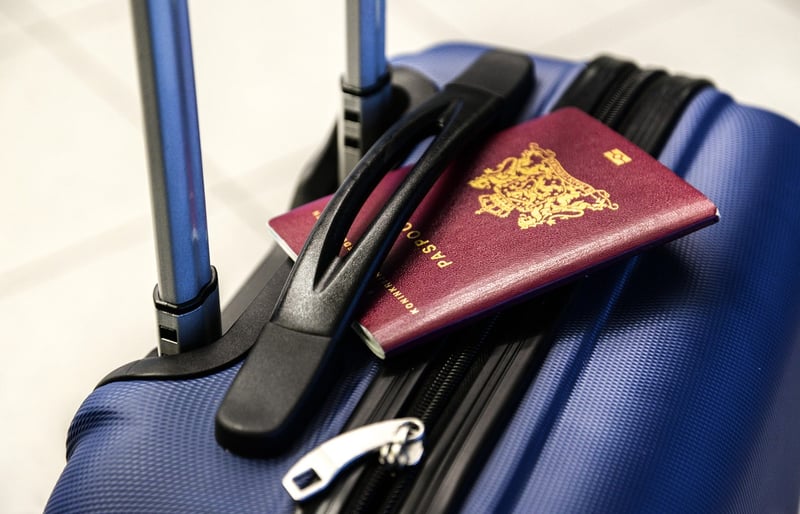 Travel Wallet